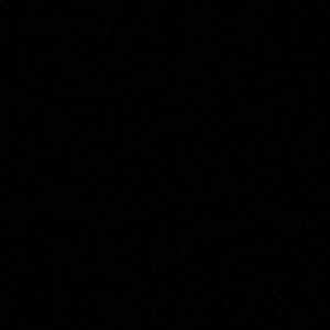 Meet your Posher, Peyton